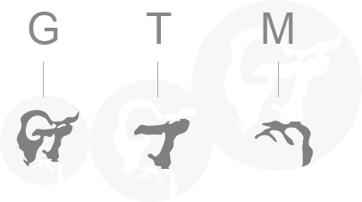 “GTM”三個英文字母組成，代表黃金時代管理：